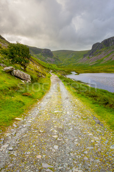 Countryside on Dingle Peninsula Stock photo © rafalstachura