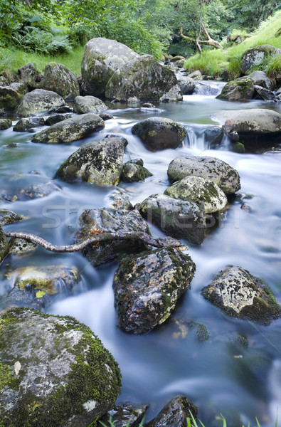 Water stream Stock photo © rafalstachura
