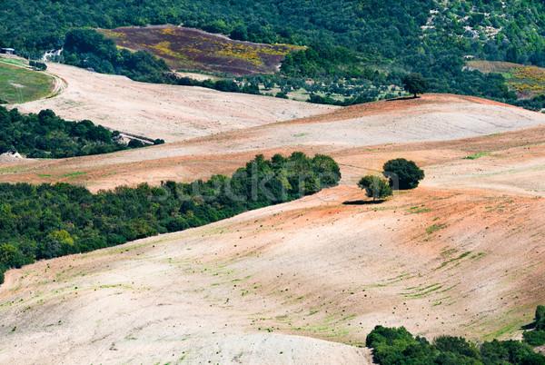 Toskana sonbahar manzaralı manzara İtalya yol Stok fotoğraf © rafalstachura