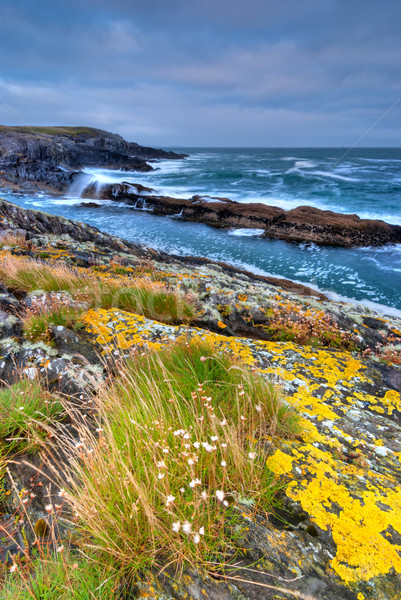 Cliffs in Crookhaven County Cork Stock photo © rafalstachura