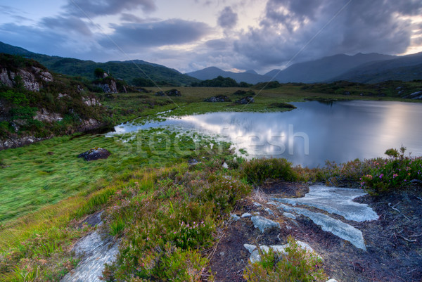 Killarney National Park Stock photo © rafalstachura