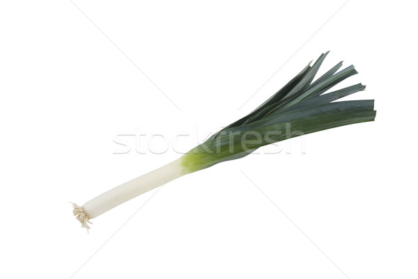 Leek Stock photo © rafalstachura