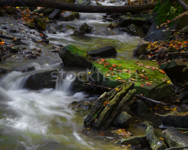 [[stock_photo]]: Mousse · couvert · Rock · lumière · du · soleil · milieu · écouter