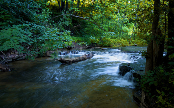Pequeño cascada ontario corriente agua naturaleza Foto stock © ralanscott