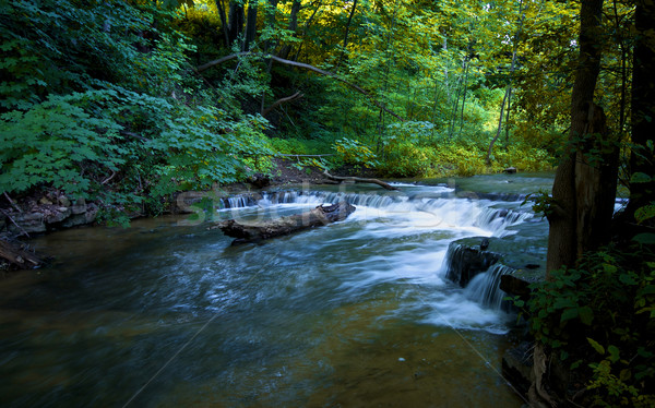 Wenig Kaskade Ontario Stream Wasser Natur Stock foto © ralanscott