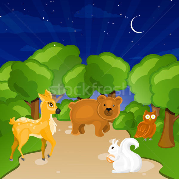 Vector Forest Stock photo © RamonaKaulitzki