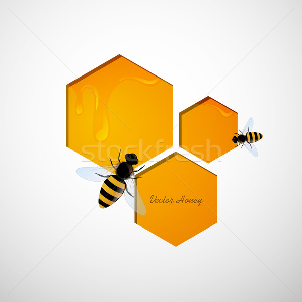 Vector Honey Background Stock photo © RamonaKaulitzki