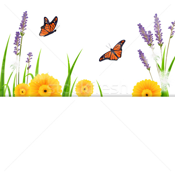 Stock photo: Vector Nature Background
