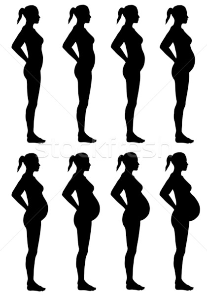 Női sziluett terhesség oldalnézet illusztráció sziluettek Stock fotó © RandallReedPhoto