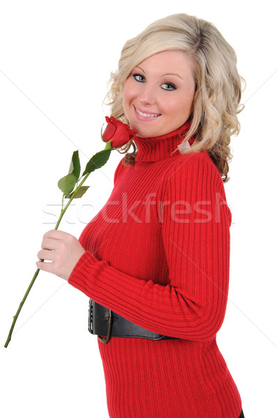 одной розы очаровательный долго стебель Сток-фото © RandallReedPhoto