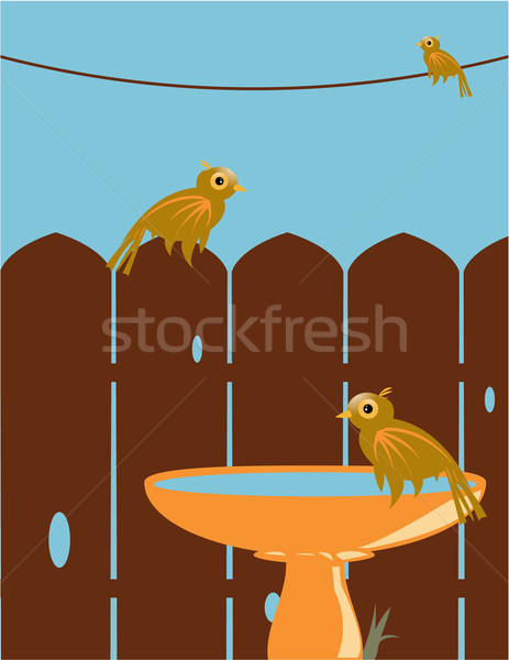 Outdoor vogel scène drie bruin vogels Stockfoto © randomway