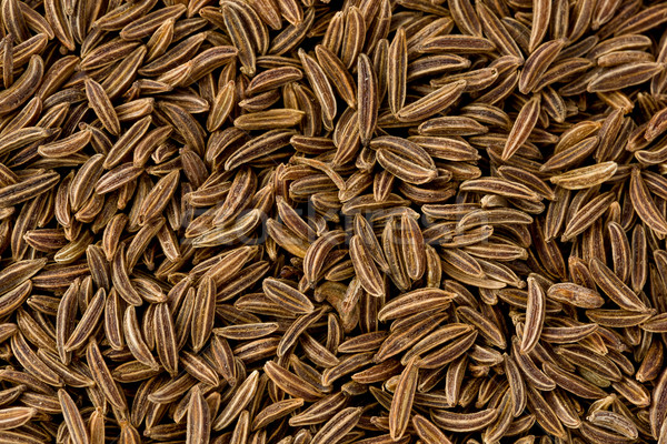 Caraway Seeds (carum carvi) Stock photo © raptorcaptor