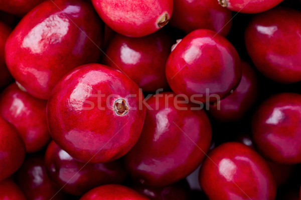 Cranberries  Stock photo © raptorcaptor