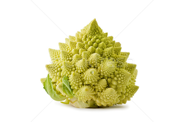 Romanesco Broccoli (Brassica oleracea) Stock photo © raptorcaptor