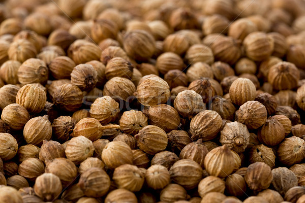 Stockfoto: Koriander · zaden · textuur · verscheidene · achtergrond · koken