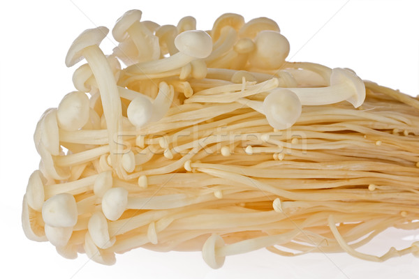 Cogumelos monte branco cogumelo saudável Foto stock © raptorcaptor