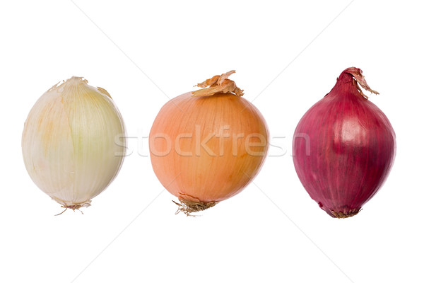 Three Onions (Allium cepa) Stock photo © raptorcaptor