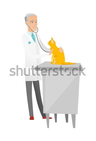 Veterinarian examining cat vector illustration. Stock photo © RAStudio