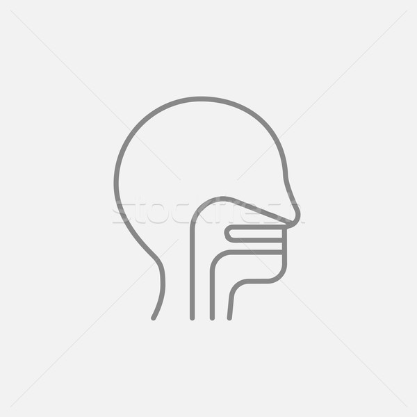 人間 頭 耳 鼻 喉 行 ストックフォト © RAStudio