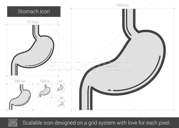 Stomach line icon. Stock photo © RAStudio