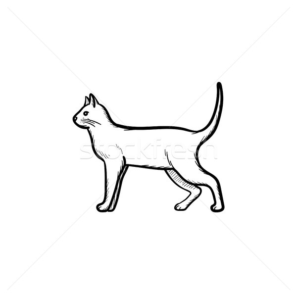 Cat hand drawn sketch icon. Stock photo © RAStudio