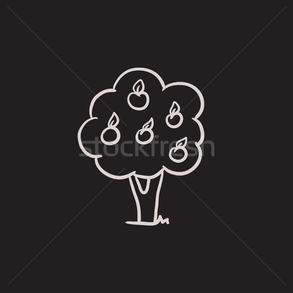 Meyve ağacı kroki ikon vektör yalıtılmış Stok fotoğraf © RAStudio