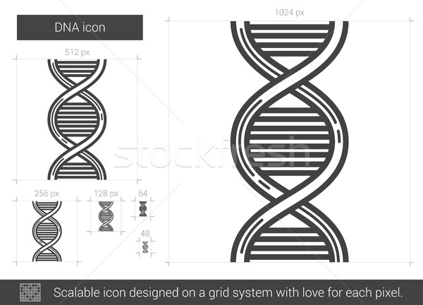 DNA line icon. Stock photo © RAStudio