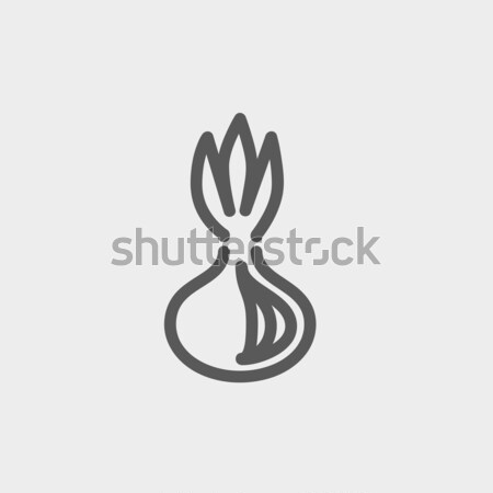 Onion line icon. Stock photo © RAStudio