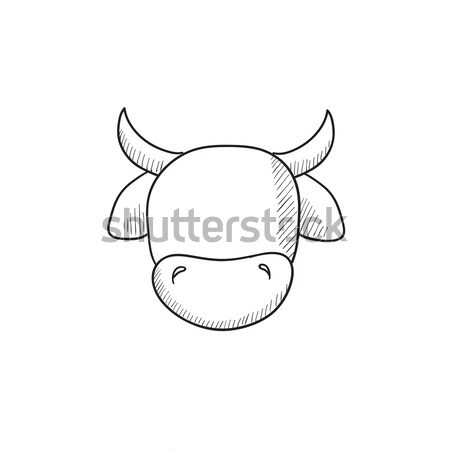 Cow head sketch icon. Stock photo © RAStudio