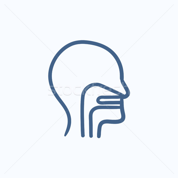 Human head with ear, nose, throat sketch icon. Stock photo © RAStudio