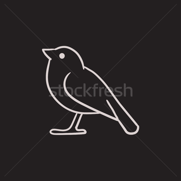 Bird sketch icon. Stock photo © RAStudio