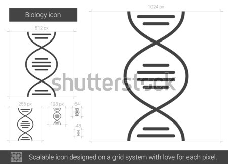 Biología línea icono vector aislado blanco Foto stock © RAStudio