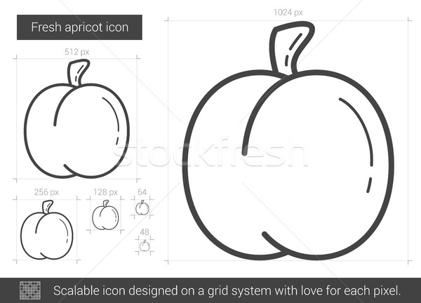 ストックフォト: 新鮮な · アプリコット · 行 · アイコン · ベクトル · 孤立した