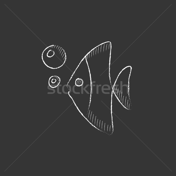 Fish under water. Drawn in chalk icon. Stock photo © RAStudio