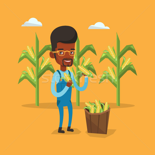 商业照片: 农民 · 玉米 ·场· 常设
