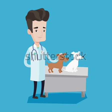 Stock photo: Veterinarian examining dogs vector illustration.