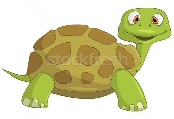 Zeichentrickfigur Schildkröte isoliert weiß Vektor glücklich Stock foto © RAStudio