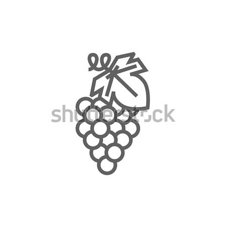 Grape line icon. Stock photo © RAStudio