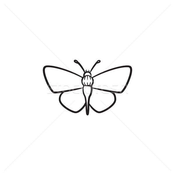 [[stock_photo]]: Papillon · dessinés · à · la · main · croquis · icône · doodle