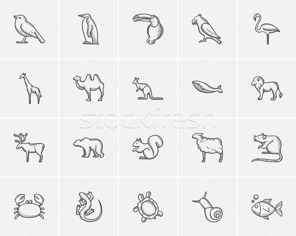 Animals sketch icon set. Stock photo © RAStudio