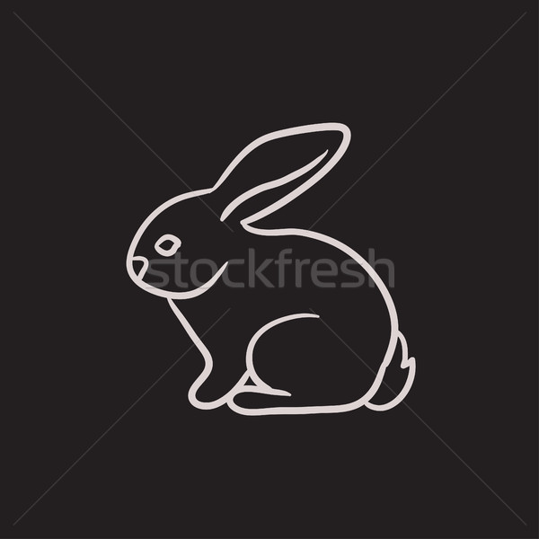 Rabbit sketch icon. Stock photo © RAStudio