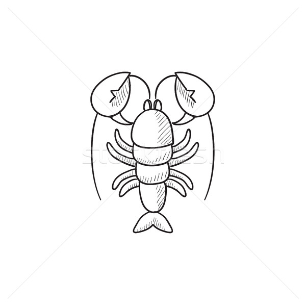 Lobster sketch icon. Stock photo © RAStudio