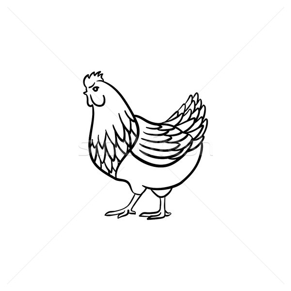 Chicken hand drawn sketch icon. Stock photo © RAStudio