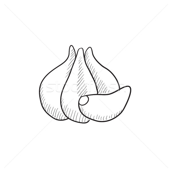 Stock photo: Garlic sketch icon.