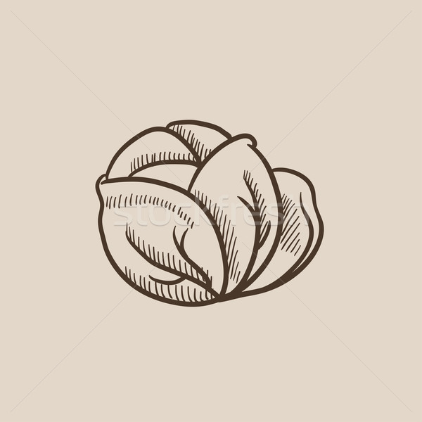 Cabbage sketch icon vector illustration  RAStudio 7877018  Stockfresh