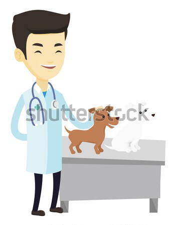 Veterinarian examining dogs vector illustration. Stock photo © RAStudio