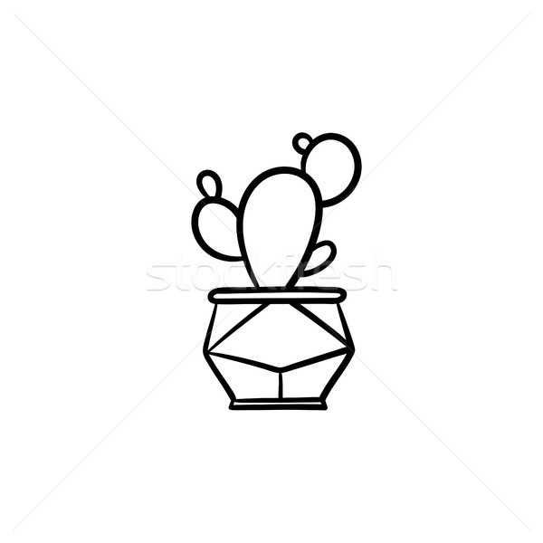 Cactus in a pot hand drawn sketch icon. Stock photo © RAStudio