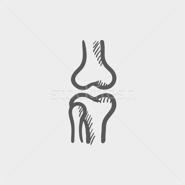 Knie Joint Skizze Symbol Web mobile Stock foto © RAStudio