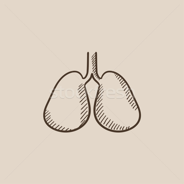Lungs sketch icon. Stock photo © RAStudio