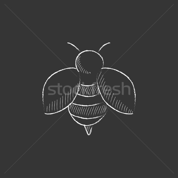Stock photo: Bee. Drawn in chalk icon.